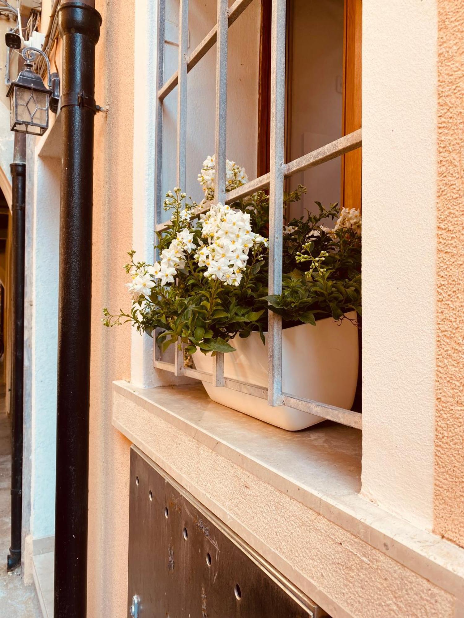 Casabella Chioggia Casa Indipendente Con Corte Buitenkant foto